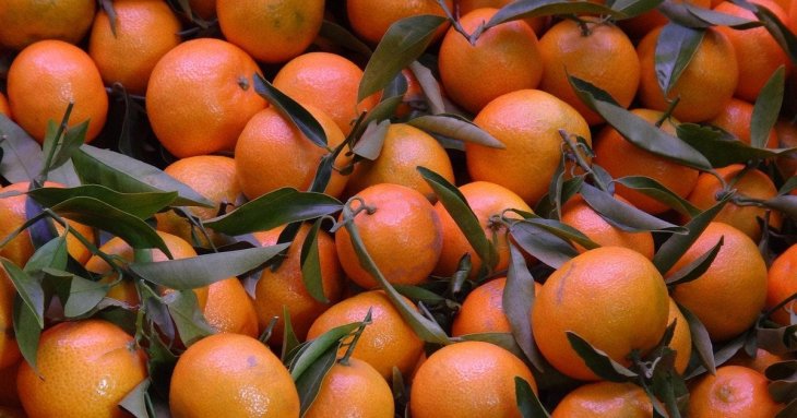 Мандарини: як улюблений зимовий фрукт може завдати шкоди здоров’ю