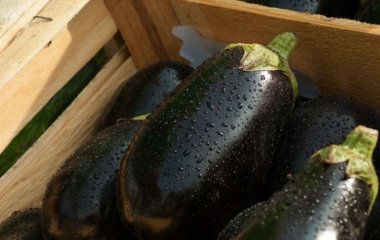 Медики назвали часть тела, которую не стоит мыть в душе