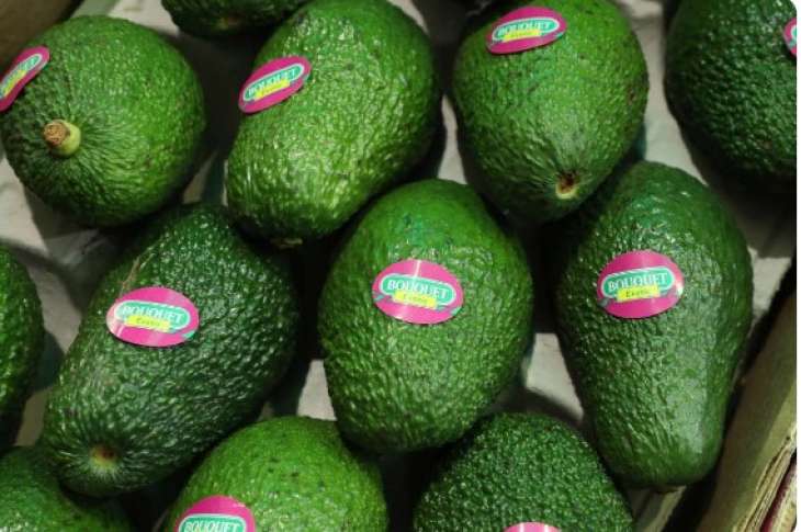 Эксперты назвали невероятные свойства авокадо