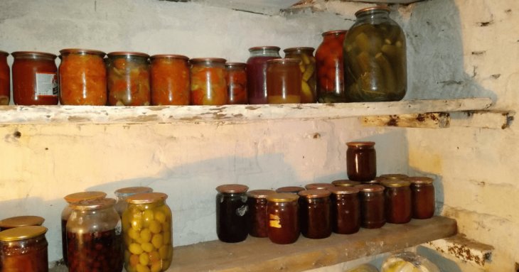 600 мл цього у воду — і вся волога зникла: простий трюк, який врятує льох від плісняви