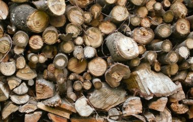 Не забивають димохід, економні і дають багато жару: спеціалісти назвали найкращі дрова для пічки