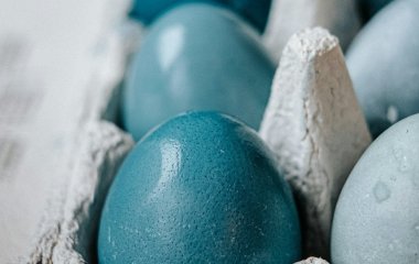 Чим пофарбувати яйця в насичений блакитний колір без хімії: неочікуваний продукт, який потрібно залити окропом