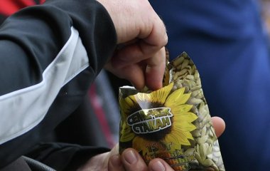 Названо шкідливе для імунітету насіння