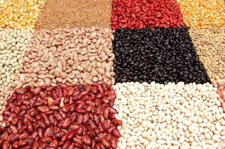 Заміна м'яса: 5 продуктів, у яких також багато корисного білка