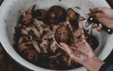 Не поспішайте викидати картопляні шкірки восени: перетворіть звичайні відходи на цінне добриво для городу