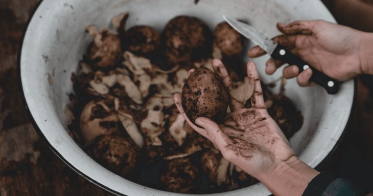 Не поспішайте викидати картопляні шкірки восени: перетворіть звичайні відходи на цінне добриво для городу