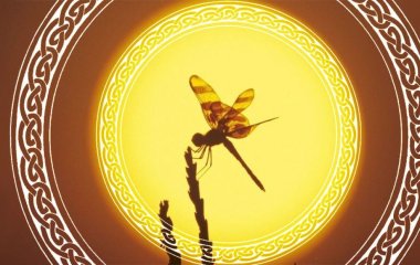 День літнього сонцестояння-2026: що заборонено робити цього дня
