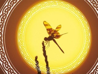 День літнього сонцестояння-2026: що заборонено робити цього дня