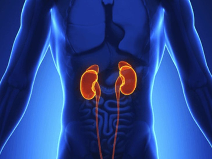 Лікар розповіла про звички, що руйнують нирки