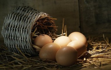 Чи можна їсти яйця щодня: дієтологи розповіли про всі міти, пов’язані з цим продуктом