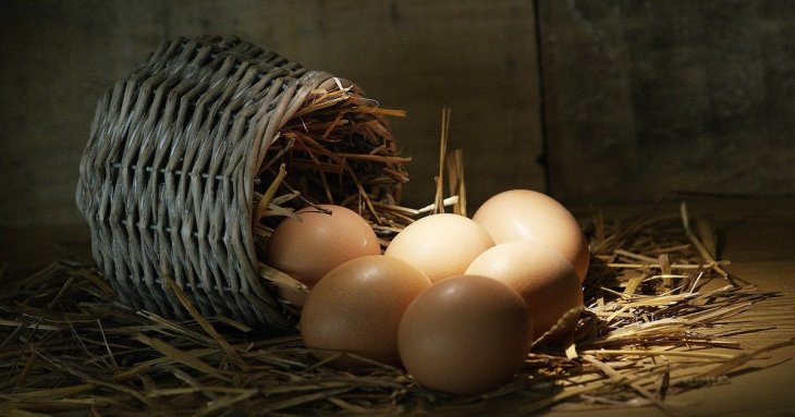 Чи можна їсти яйця щодня: дієтологи розповіли про всі міти, пов’язані з цим продуктом