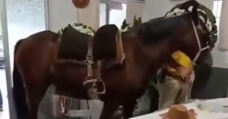Під час похорону кінь іржав біля труни свого улюбленого господаря — щемливе відео