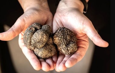 Дієтолог назвала найкращі продукти-афродизіаки