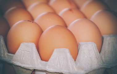 Яйце продали за понад 22 000 гривень: у чому його особливість – фото