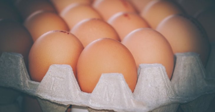 Яйце продали за понад 22 000 гривень: у чому його особливість – фото