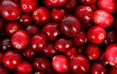 Медики назвали продукты, которые полезны для здоровья почек