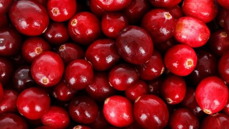 Медики назвали продукты, которые полезны для здоровья почек