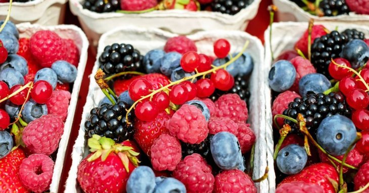 7 продуктів для здоров’я мозку: що їсти, щоб покращити пам’ять і концентрацію