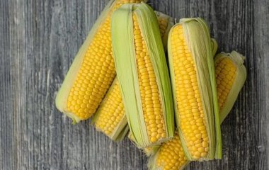 Від яких хвороб допомагає варена кукурудза