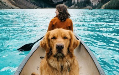 Пес-путешественник повеселил пользователей Instagram (ФОТО)