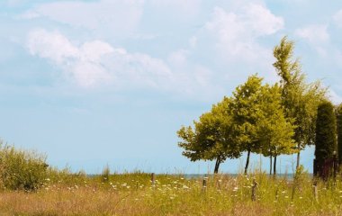 День ангела 11 червня: кого та як вітати з іменинами