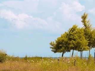 День ангела 11 червня: кого та як вітати з іменинами