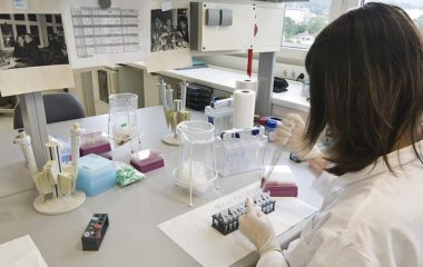 Вчені виявили гени, що викликають ожиріння