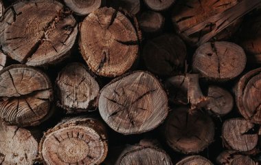 Чим вигідніше опалювати будинок узимку: альтернатива дровам, про яку знають не всі