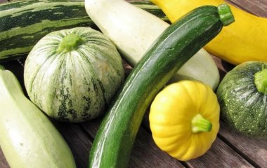 Чим відрізняється цукіні від кабачка, корисні властивості