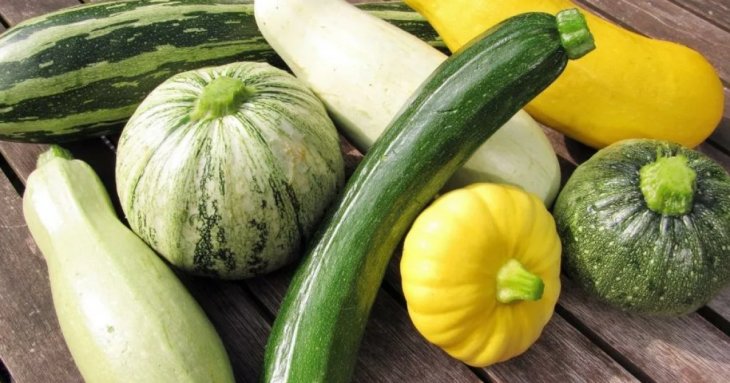 Чим відрізняється цукіні від кабачка, корисні властивості