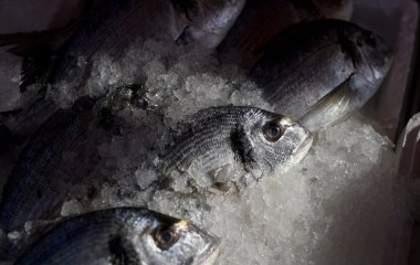 Як розморозити рибу, щоб не отруїтися