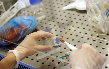 Досліди підтвердили, що заморожена їжа може розносити коронавірус.