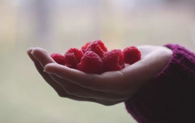 Вчені виявили омолоджуючий ефект малини