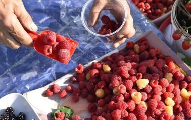 Терапевт спростувала міф про можливість запастися вітамінами влітку на рік наперед