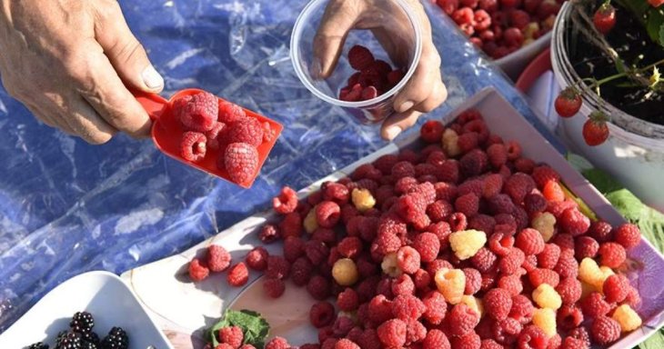 Терапевт спростувала міф про можливість запастися вітамінами влітку на рік наперед