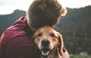 Як зрозуміти, що ви для улюбленця найважливіша людина: ветеринари назвали 5 ознак
