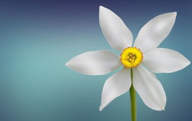 День ангела 9 березня: кого та як вітати з іменинами