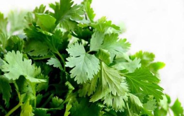 Медики назвали продукт, который защитит от рака