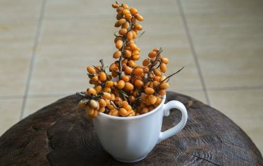 Дієтолог розповіла про «мультивітамінну бомбу» для імунітету