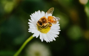 День ангела 14 серпня: кого та як вітати з іменинами