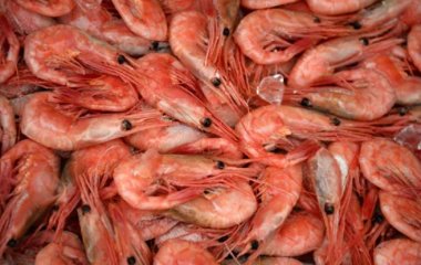 Нутриціолог назвала найкращі продукти та вітаміни для зміцнення імунітету