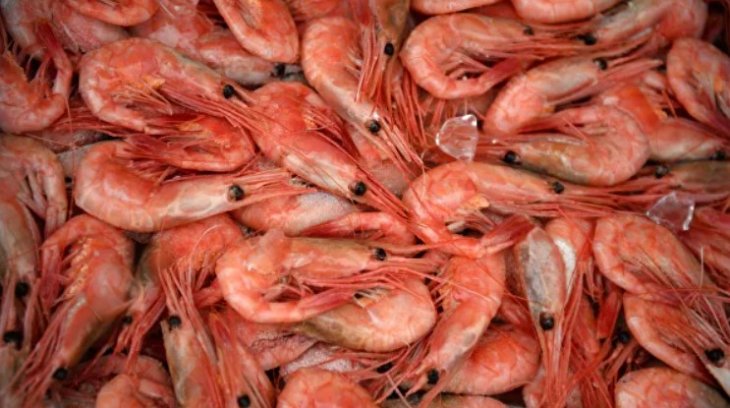 Нутриціолог назвала найкращі продукти та вітаміни для зміцнення імунітету