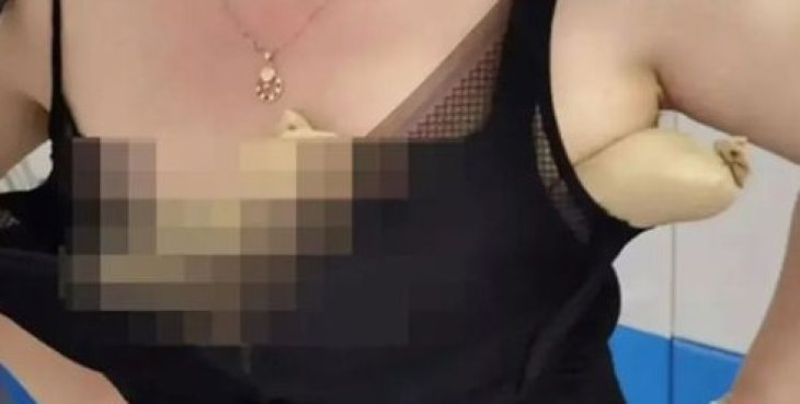 Контрабандистка засунула в лифчик пять змей, чтобы спрятать их от таможенников