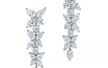 Чоловік проковтнув сережки Tiffany & Co. вартістю $769 500 – фото