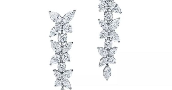 Чоловік проковтнув сережки Tiffany & Co. вартістю $769 500 – фото