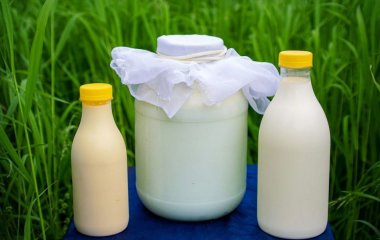Навіщо обприскувати розсаду розведеним молоком