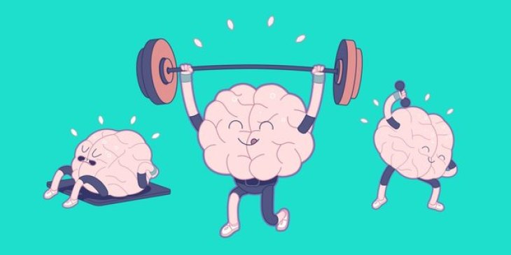 Ученые назвали четыре напитка, повышающие работоспособность мозга