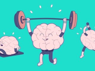 Ученые назвали четыре напитка, повышающие работоспособность мозга