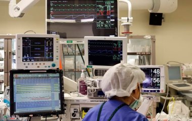 Биття серця заважає людині сприймати інформацію з органів чуття