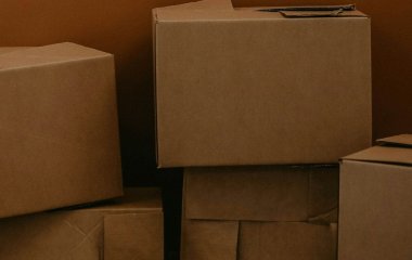 Розумні дачники ніколи не викидають картон: возять його на ділянку коробками, і ось куди використовують — 4 простих способи